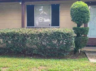 Bush Trimming by Milynel Burgos for Jaffy E. in Winter Park, FL