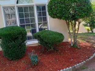 Bush Trimming by Michael Leslie for Krishna G. in Stockbridge, GA