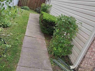Bush Trimming by Timothy White for Sheila R. in Indianapolis, IN