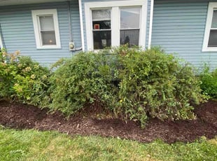 Bush Trimming by Shontel Taylor for Rebecca W. in Perrysburg, OH