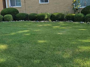 Frederick D.'s Lawn Care service result