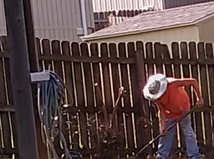 Bush Trimming by Anna Flint for Ricardo M. in Independence, MO