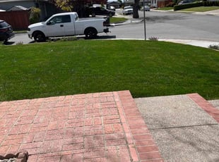 Akif R.'s Lawn Service service result