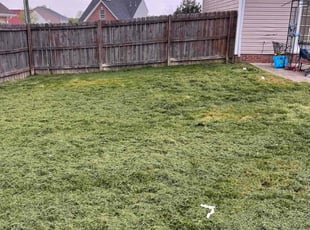 Jason F.'s Grass Cutting service result