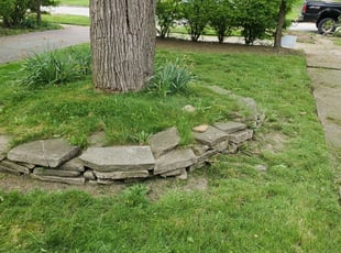 Leaf Removal by Richard Vonderau for Tony J. in Cleveland Heights, OH