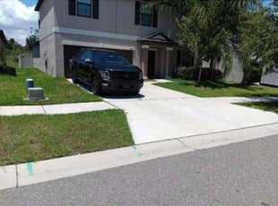 Bush Trimming by William Chavers for Will H. in Riverview, FL