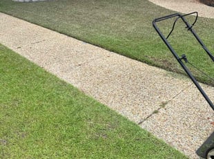 Sandra A.'s Grass Cutting service result
