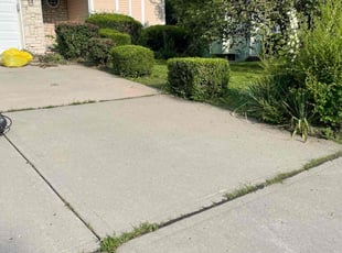 Bush Trimming by Sedrick Wesley for Rick N. in Kansas City, MO