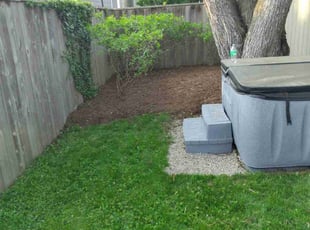 Bush Trimming by Christopher Hall for Rob H. in Birmingham, MI