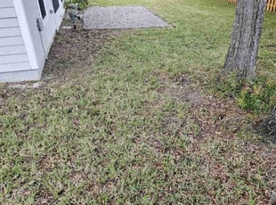 Cleanups by Cory Griffin for Adam K. in Gainesville, FL