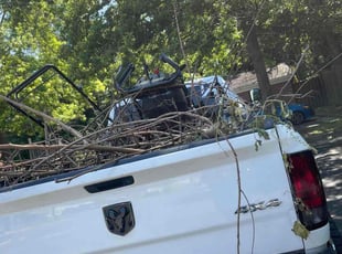 Cleanups by Brandon Escobar for Allison C. in Springfield, VA