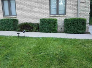 Bush Trimming by Ronnie Anderson for Hamzah M. in Greenfield, WI