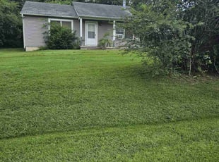 Mike M.'s Yard Cutting service result