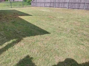 Cleanups by Tony Rodriguez for Michelle M. in Oklahoma City, OK