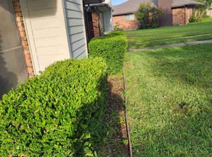 Bush Trimming by Edwin Hernandez for John B. in Sachse, TX
