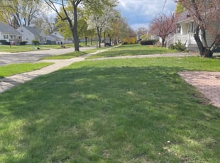 Leaf Removal by LaPriest Blocker for Charifa H. in Lansing, MI