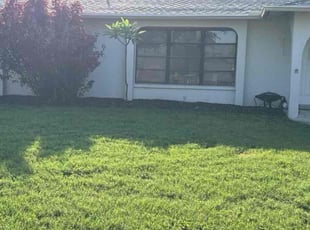 Weeding by Ihosvany Rodriguez for Chelsea S. in Cape Coral, FL