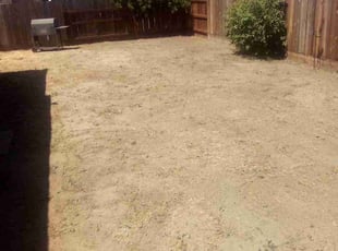 Leaf Removal by Bert Gibbs Gibbs for Trey M. in Oakdale, CA