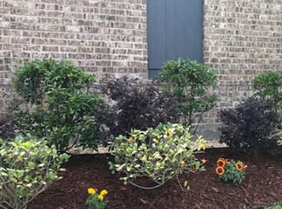 Bush Trimming by Anton Burke for April J. in Prairieville, LA