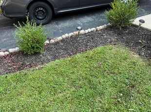 Weeding by Robert Edwards for Carly T. in Wilmington, DE