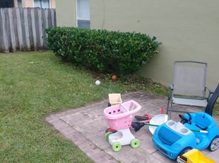 Bush Trimming by Clyde Kovac for LaShae P. in Orlando, FL