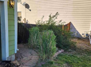 Bush Trimming by Adrian Diaz for Bianca G. in Thornton, CO