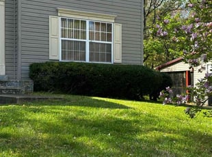 Bush Trimming by Carlos Portillo for Tony W. in Clinton, MD