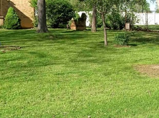 Kimberly H.'s Lawn Care service result