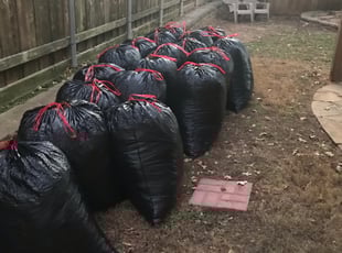 Leaf Removal by Robert Garcia for Megan P. in Coppell, TX