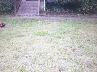 Cleanups by Detrail Whitfield for Kathleen R. in Chesapeake, VA