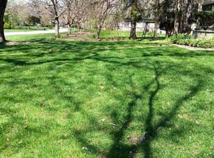 Cleanups by Edward Mauler for Jennifer W. in Worthington, OH
