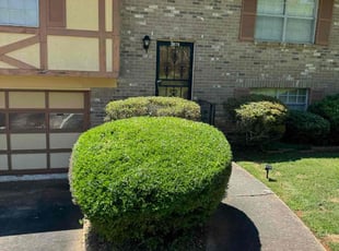 Bush Trimming by Thytrone McCord for Jeremy F. in Decatur, GA