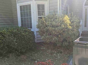 Bush Trimming by Joshua Richmond for Jim M. in Greensboro, NC