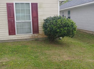 Bush Trimming by Jaron Eiland for Derek W. in Slidell, LA