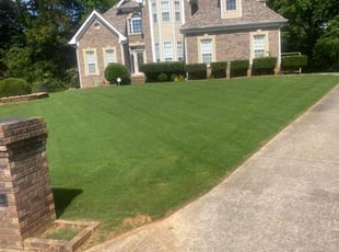 Dianne H.'s Yard Cutting service result