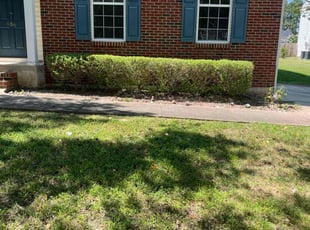 Bush Trimming by David Canty for Christian W. in Durham, NC