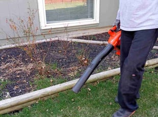Leaf Removal by Lance Reynolds for David P. in Overland Park, KS