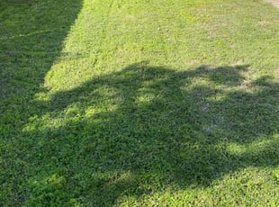 Christy T.'s Lawn Mowing service result