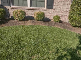 Weeding by Amie Simpson for Evan J. in Lexington, KY