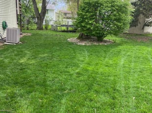 Bonnie O.'s Lawn Mowing service result