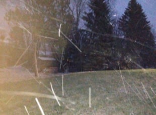 Leaf Removal by Christina Wallum for True N. in Roseville, MN