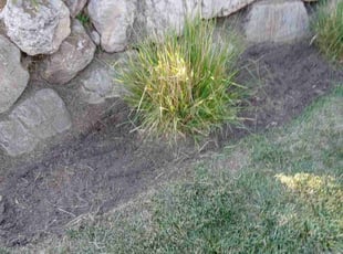 Weeding by Nathan Call for Kerry L. in Layton, UT