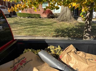 Cleanups by Andrew Gilmore for Alexander G. in Birmingham, MI