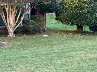 Bush Trimming by Rickey Winston for Terence E A. in Powder Springs, GA