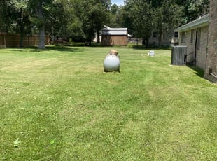 Michael P.'s Lawn Maintenance service result