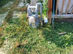 Bush Trimming by Junior Rose for Haley G. in Pittsburgh, PA