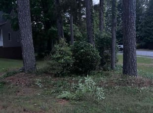 Weeding by Jonathan Clark for Pablo F. in Snellville, GA
