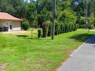 Parvin B.'s Lawn Mowing service result