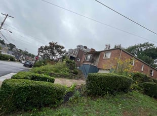 Bush Trimming by Vincent Daniele for Abby B. in Pittsburgh, PA
