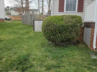 Bush Trimming by Eric Stith for Edgardo M. in Chesterfield, VA